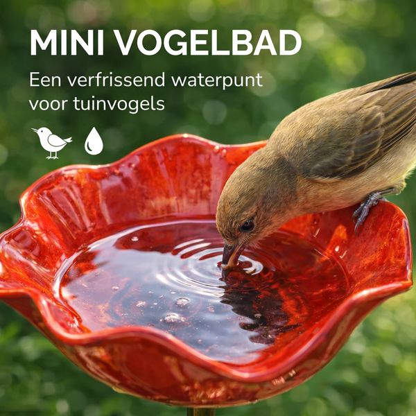 Vogelbad Klaproos