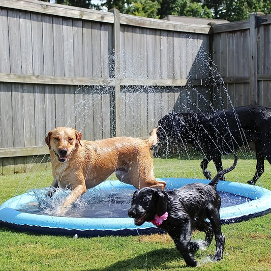 Zomerplezier Hondenzwembad