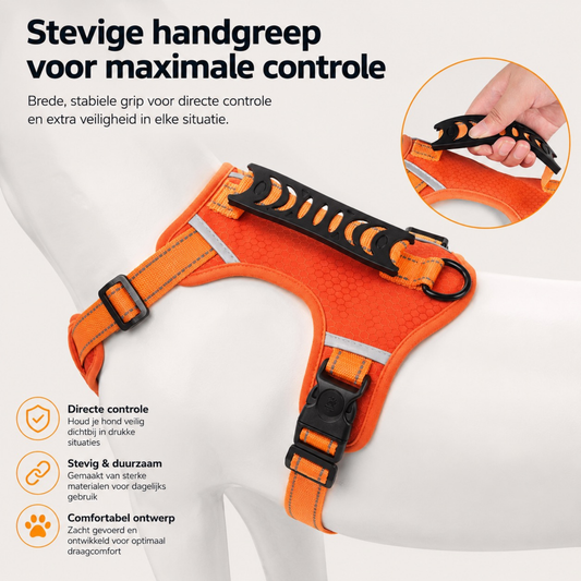 SafeWalk™ Harness