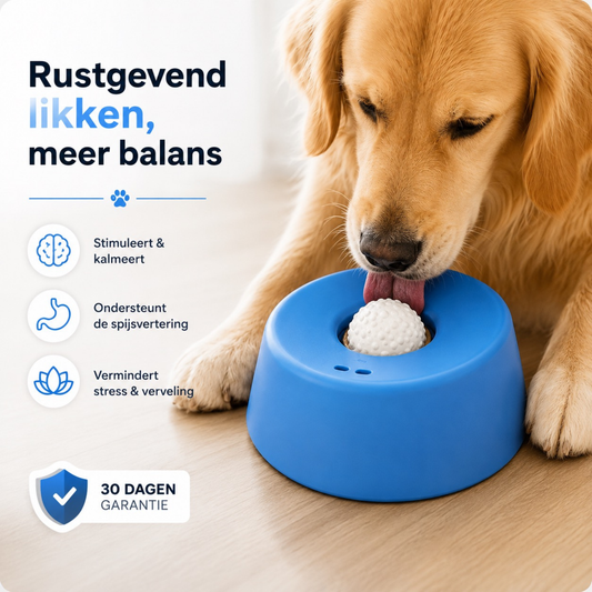 LikRust™ Slow Feeder Voor Honden